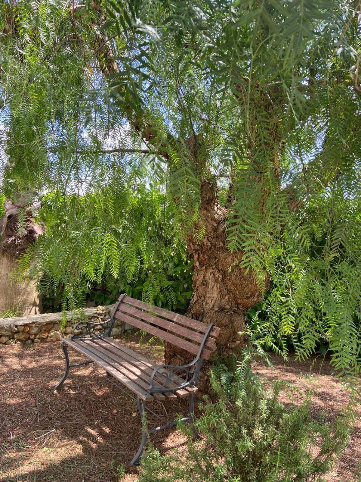 شقة Casa Salento سبيكيا المظهر الخارجي الصورة